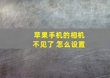 苹果手机的相机不见了 怎么设置